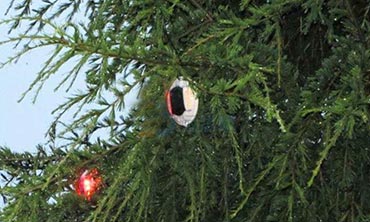 Tacha solar led en el árbol de navidad